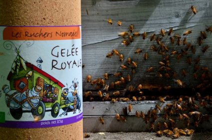 Producteur Gelée Royale GAEC Ruchers Nomades