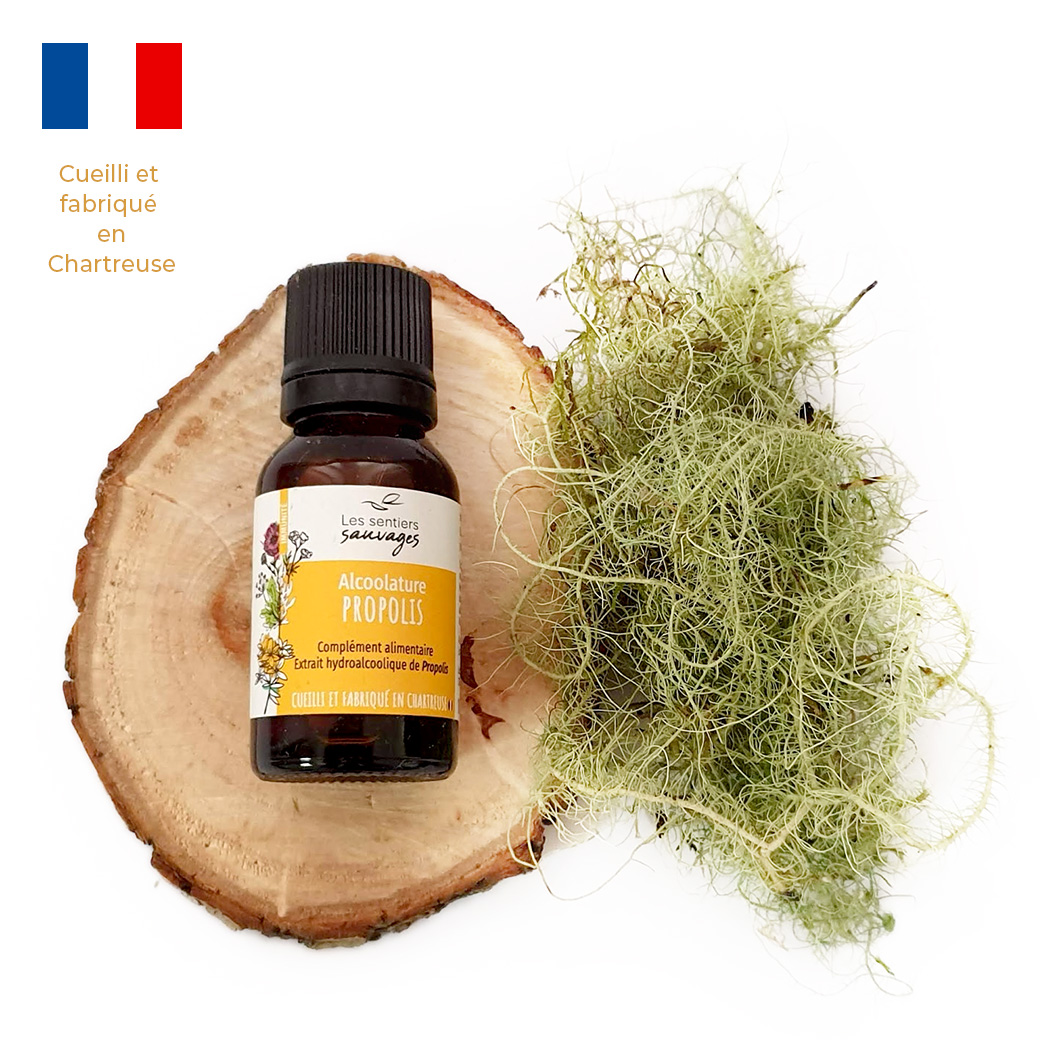 Teinture Mère de Propolis Française Teinture Mère de Propolis Française
