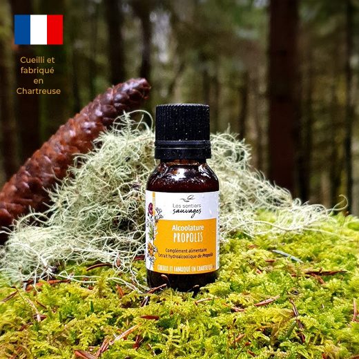 Teinture Mère de Propolis Française