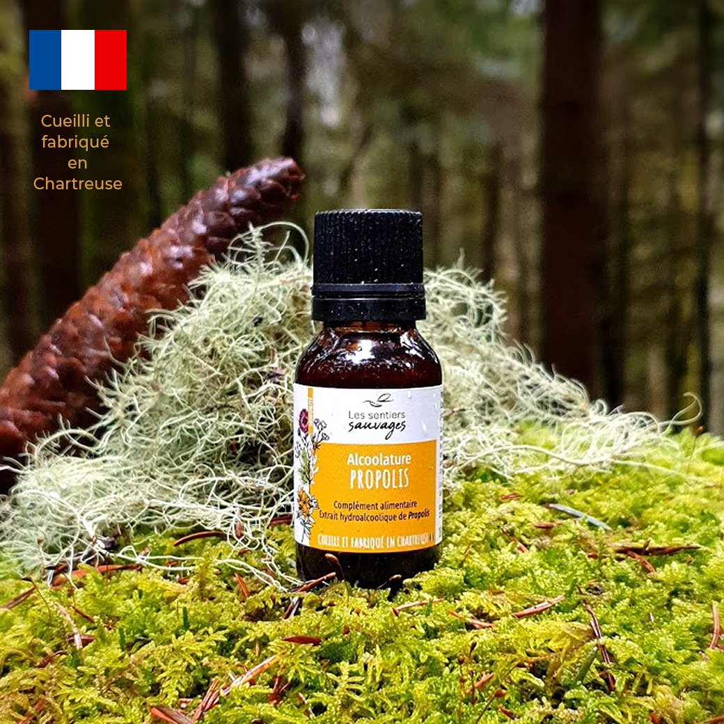 Teinture Mère de Propolis Française Teinture Mère de Propolis Française