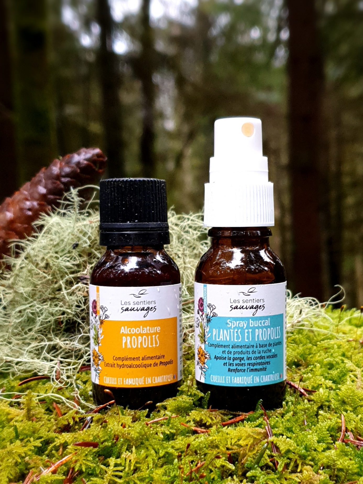 Produits à base de Propolis